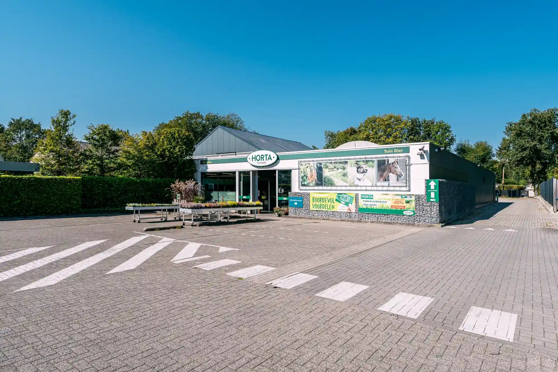 Interloods-renovatie-industriële-gebouwen-dak-Horta-Brasschaat_17