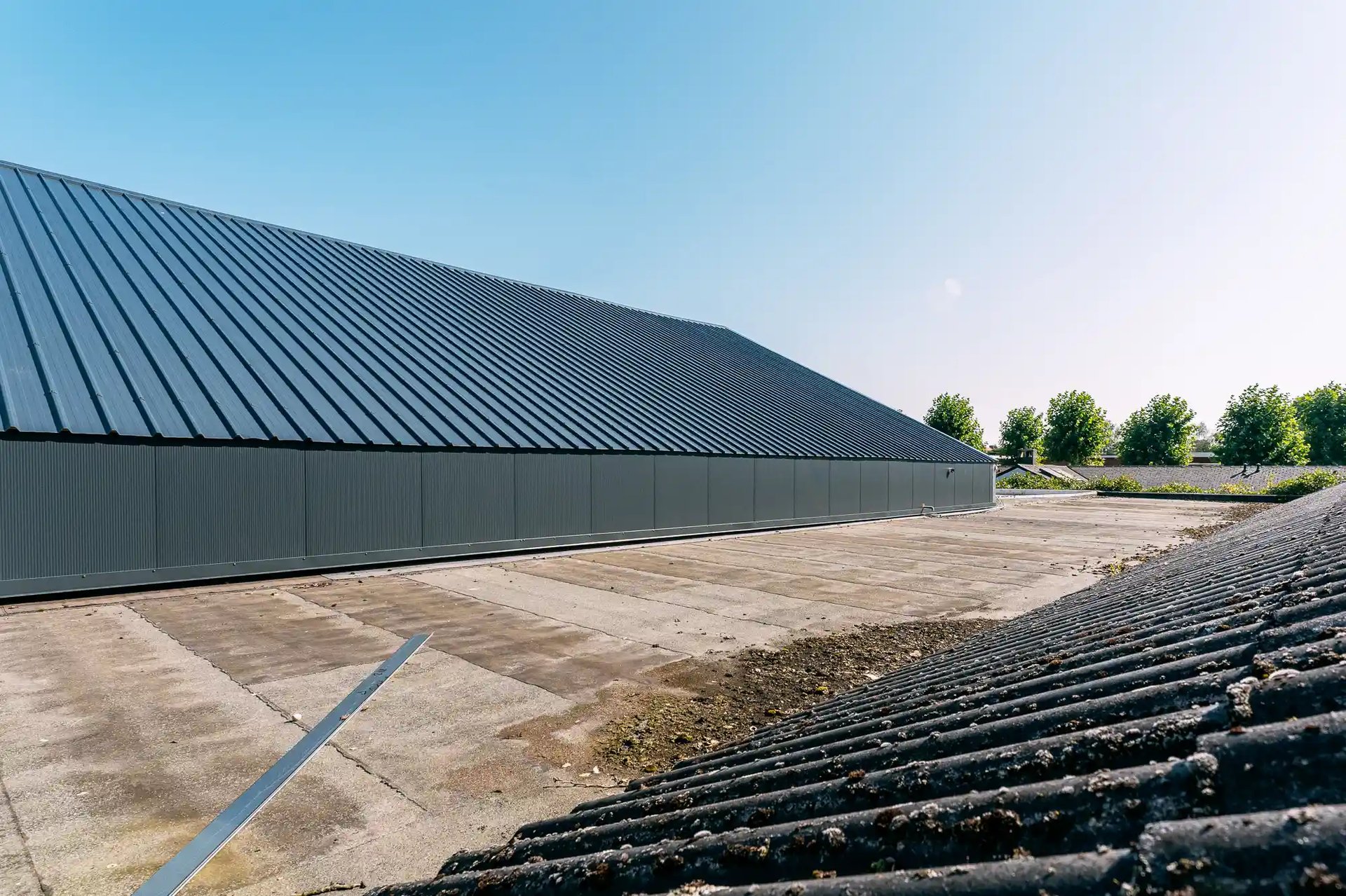 Interloods-renovatie-industriële-gebouwen-dak-Horta-Brasschaat_7-1